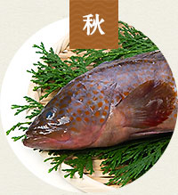 サバ・イワシ・カレイ・ヒラメ・クルマエビ・ワタリガニ・牡蠣・タチウオ・名残ハモ