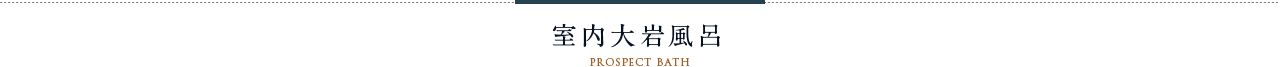 室内大岩風呂Prospect Bath