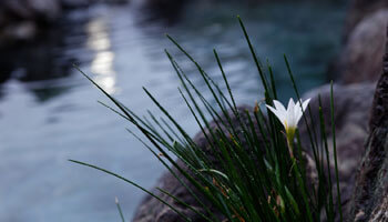 露天風呂イメージ